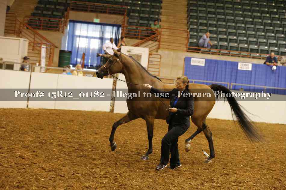 Proof 15R12_01182