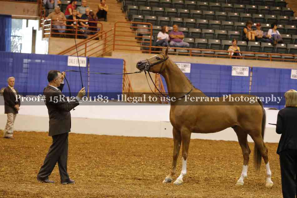 Proof 15R12_01183