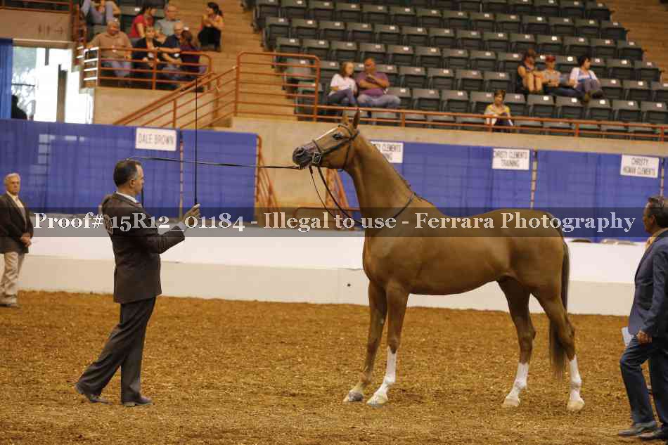 Proof 15R12_01184