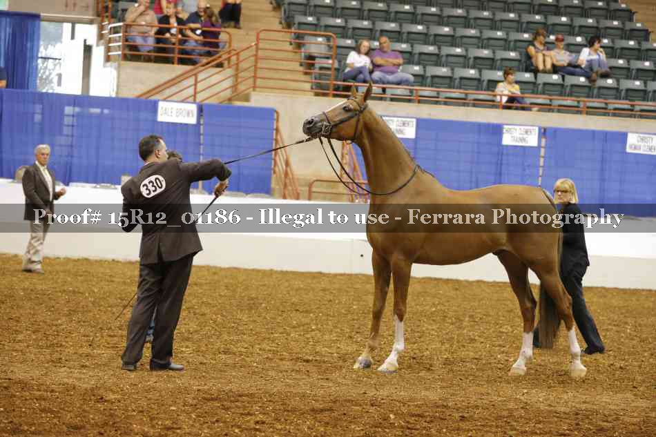 Proof 15R12_01186