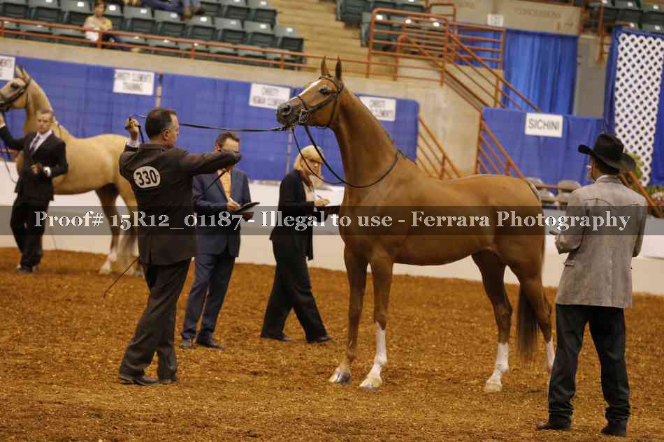 Proof 15R12_01187