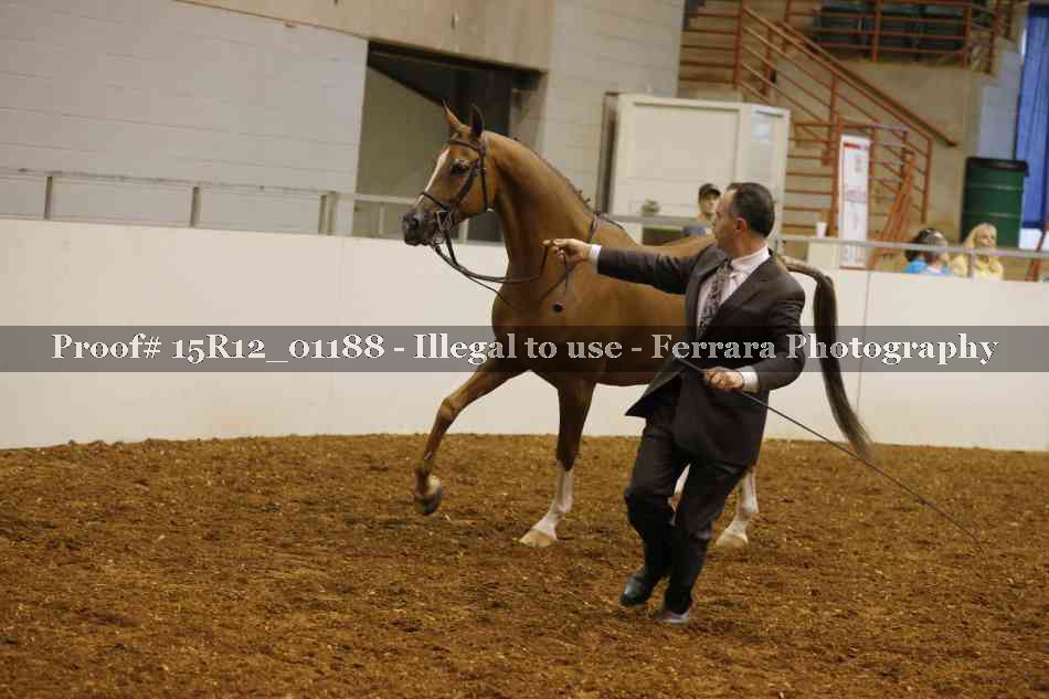 Proof 15R12_01188