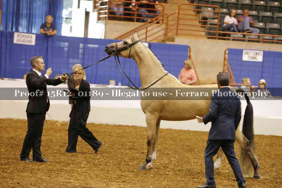 Proof 15R12_01189