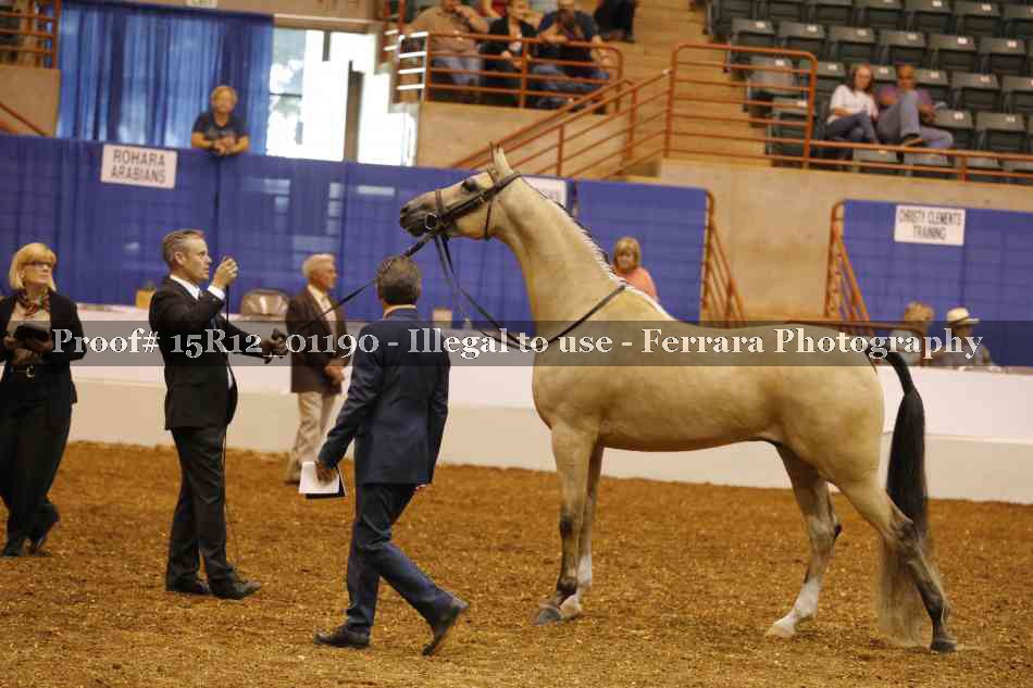 Proof 15R12_01190