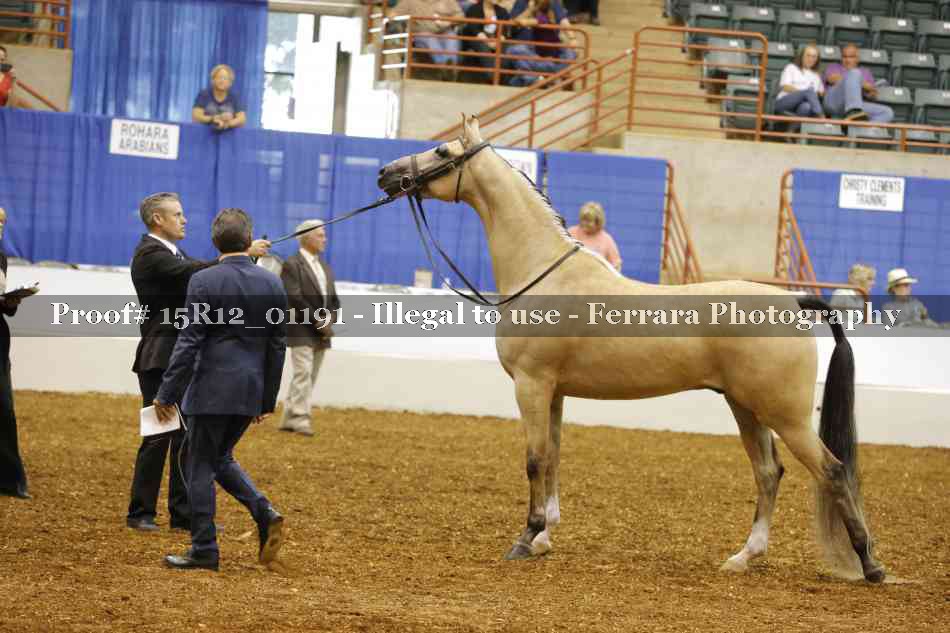 Proof 15R12_01191