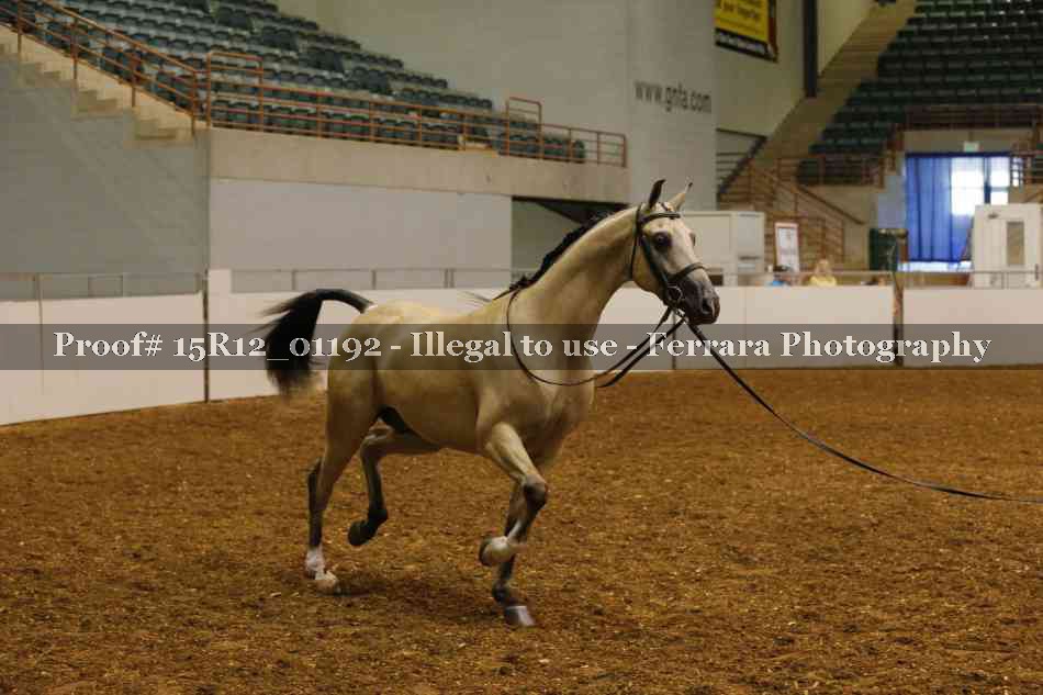 Proof 15R12_01192