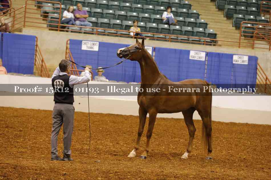 Proof 15R12_01193