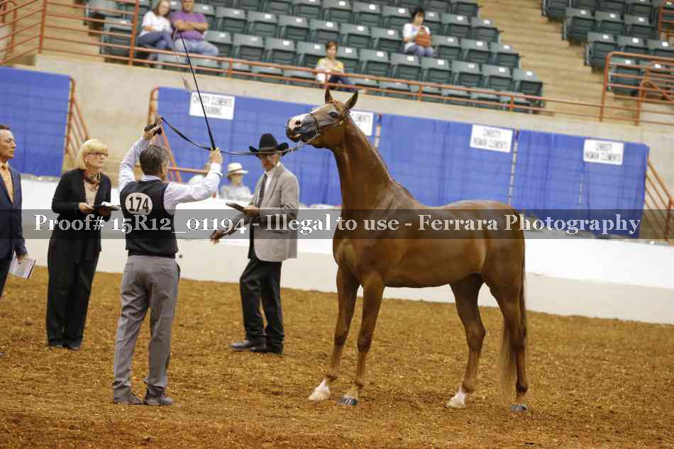 Proof 15R12_01194