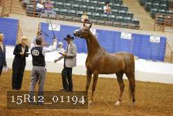 15R12_01194 proof