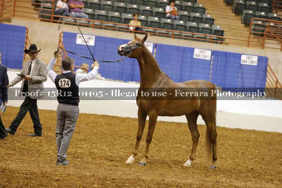 Proof 15R12_01195