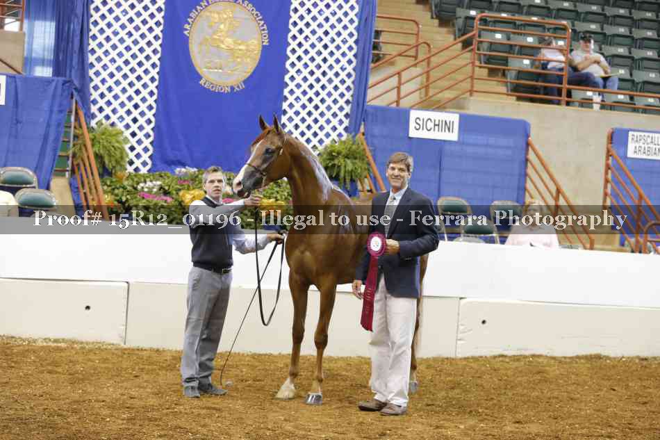 Proof 15R12_01196