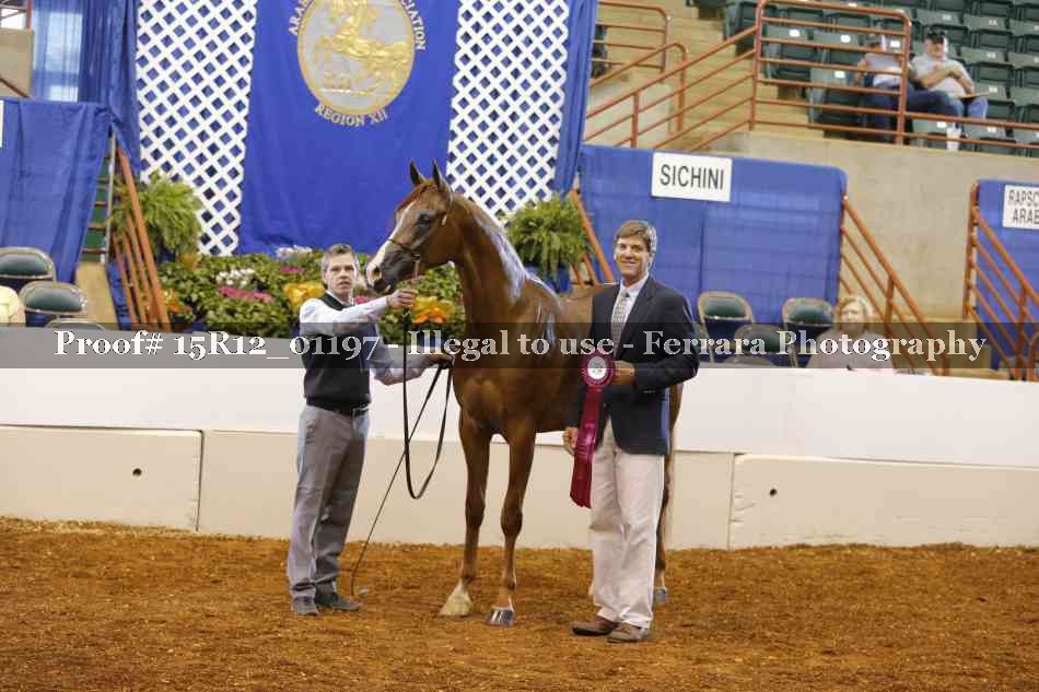Proof 15R12_01197