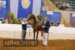 15R12_01197 proof