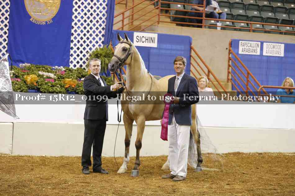 Proof 15R12_01199
