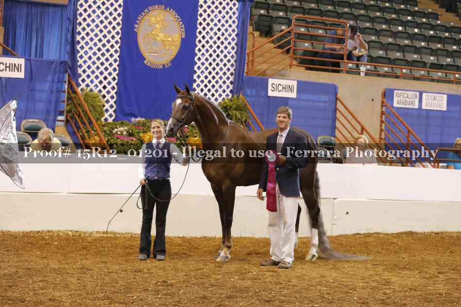 Proof 15R12_01201