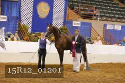 15R12_01201 proof