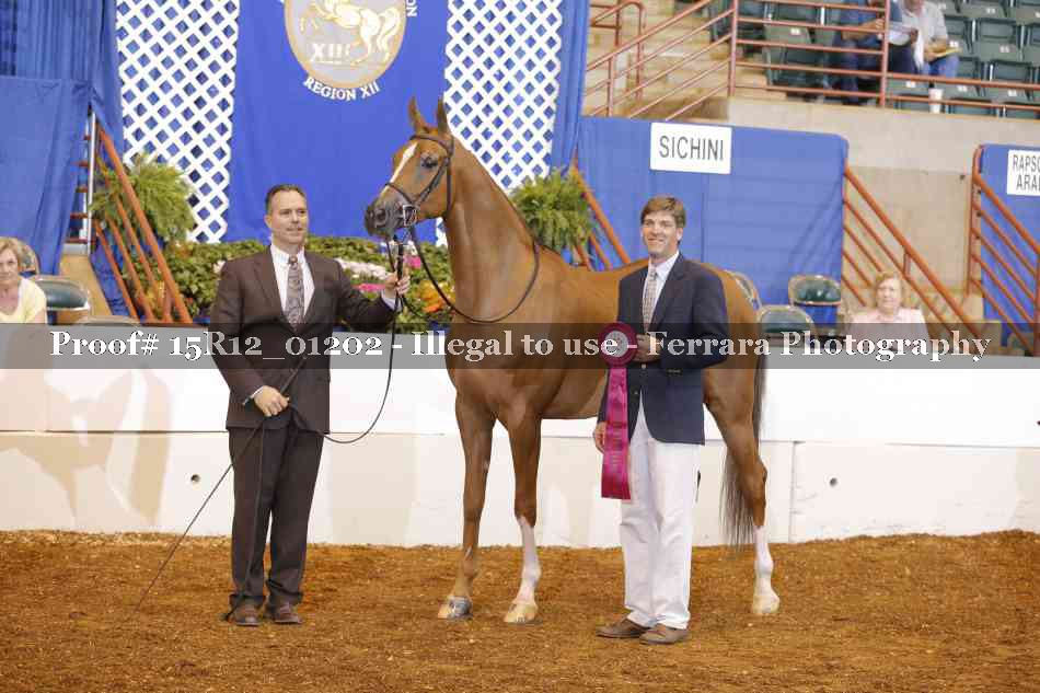 Proof 15R12_01202