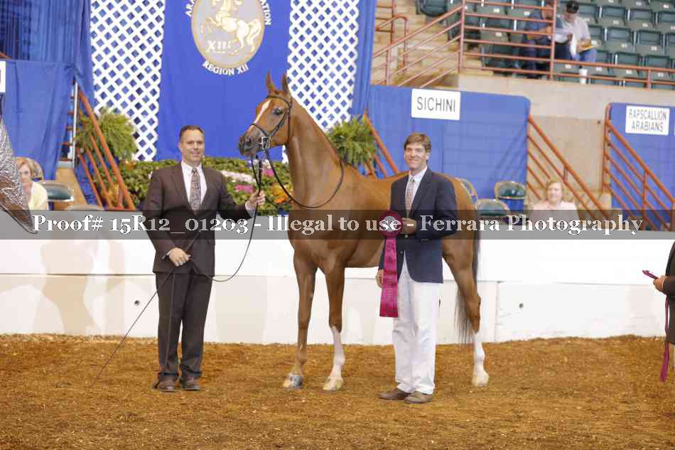 Proof 15R12_01203