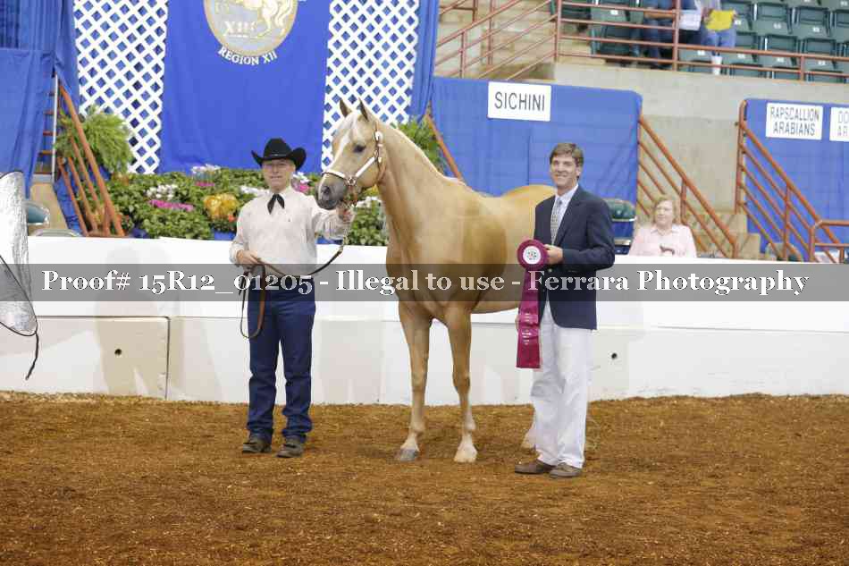 Proof 15R12_01205