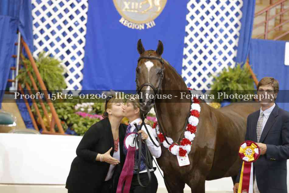 Proof 15R12_01206