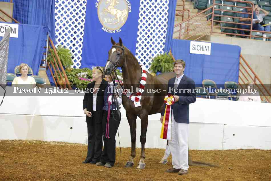 Proof 15R12_01207