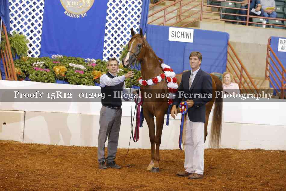 Proof 15R12_01209