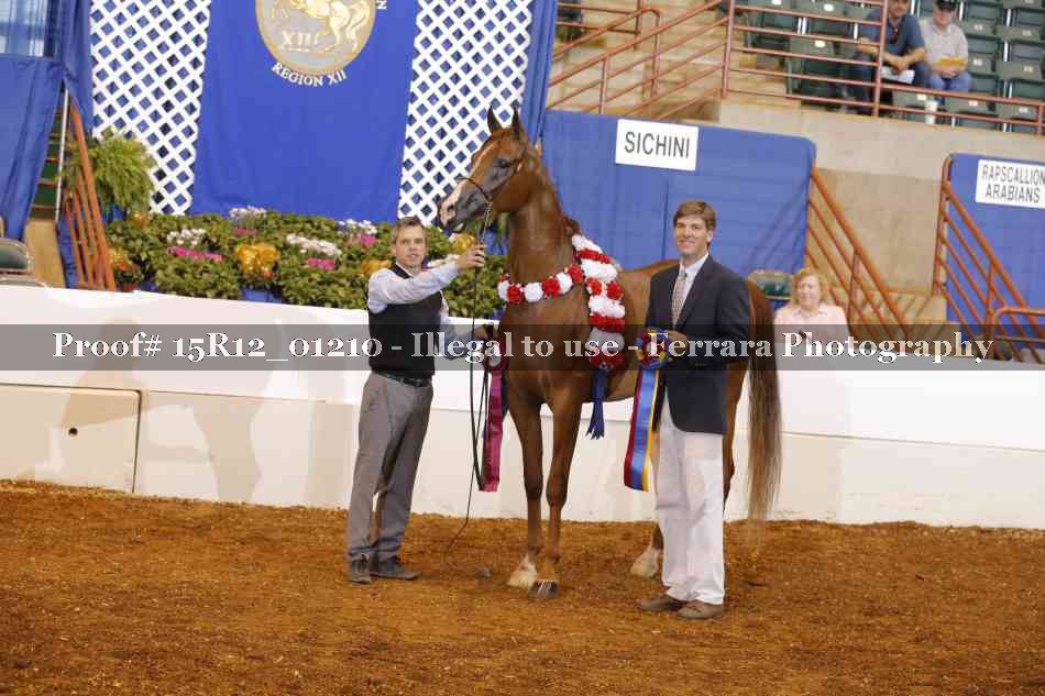 Proof 15R12_01210