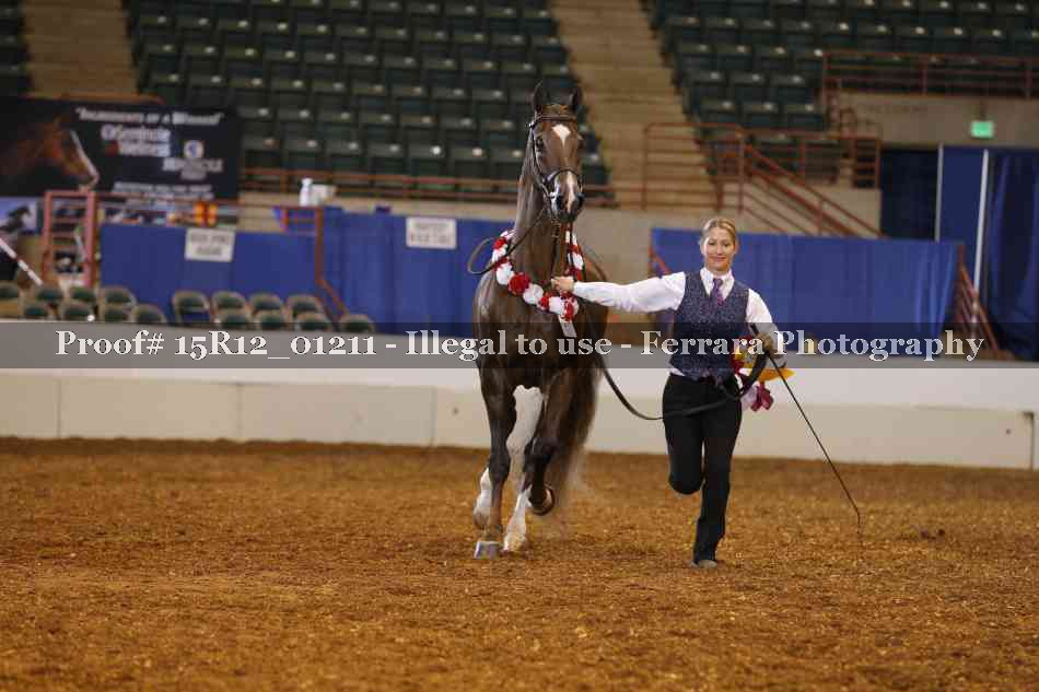 Proof 15R12_01211