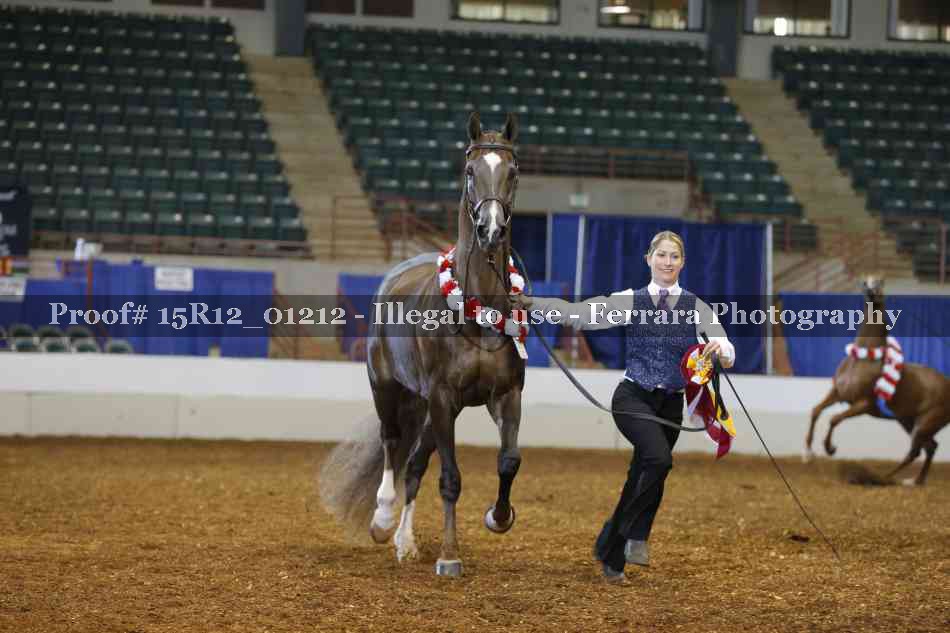 Proof 15R12_01212