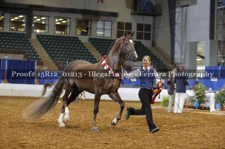 Proof 15R12_01213