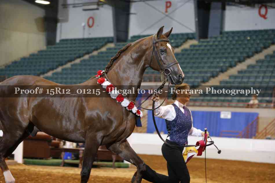 Proof 15R12_01215