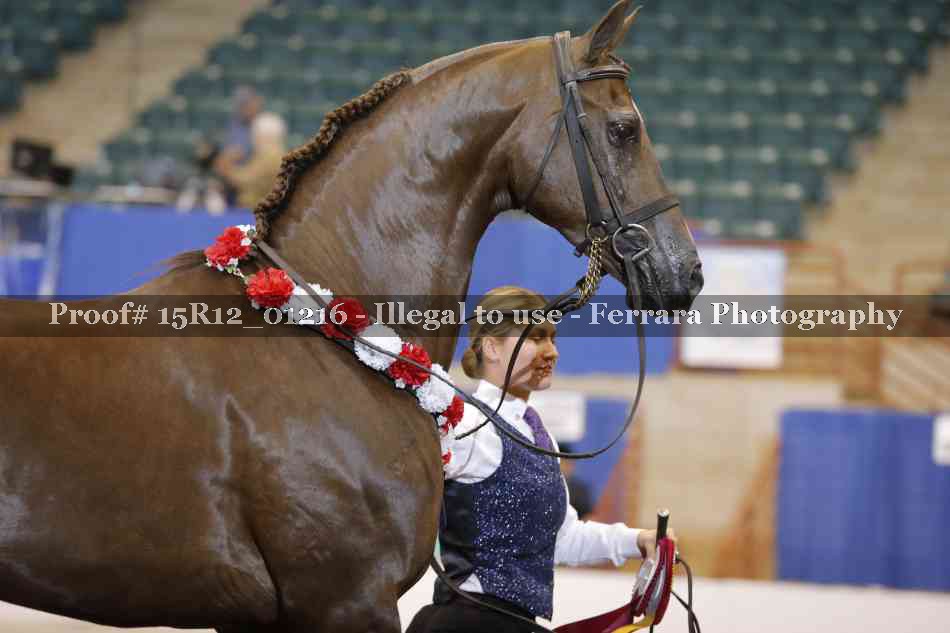 Proof 15R12_01216
