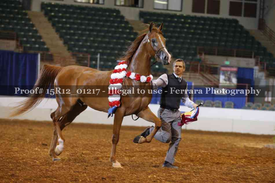 Proof 15R12_01217