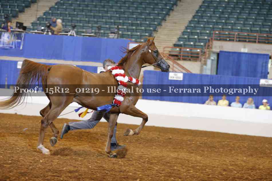 Proof 15R12_01219