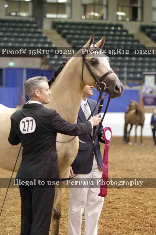 Proof 15R12_01221