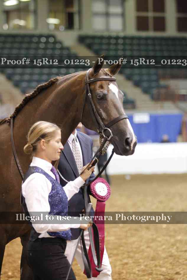 Proof 15R12_01223