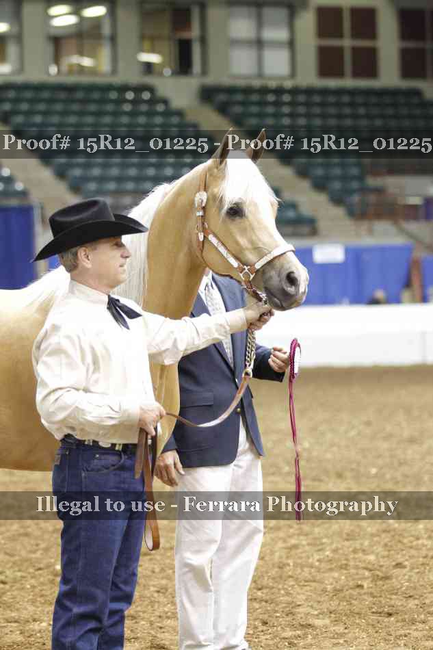 Proof 15R12_01225