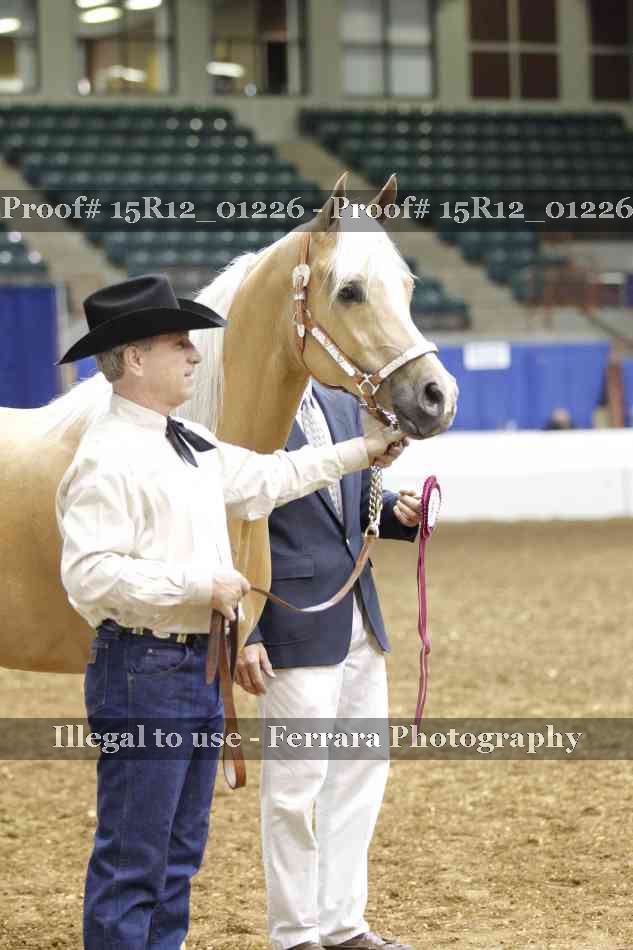 Proof 15R12_01226