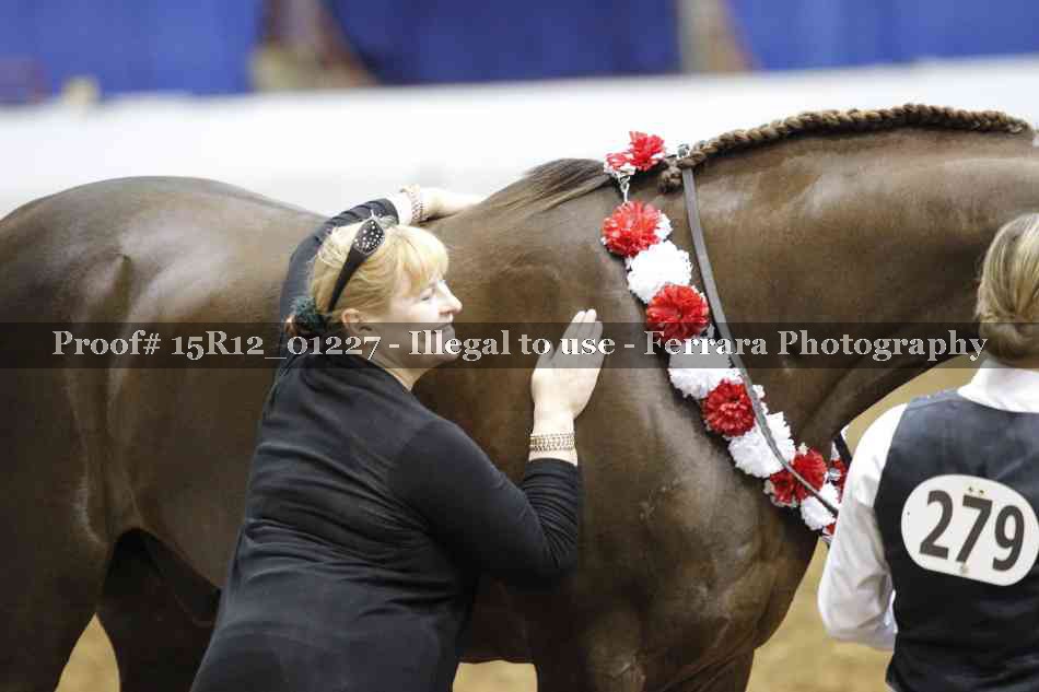 Proof 15R12_01227