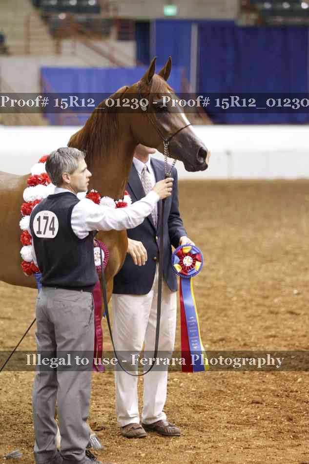 Proof 15R12_01230