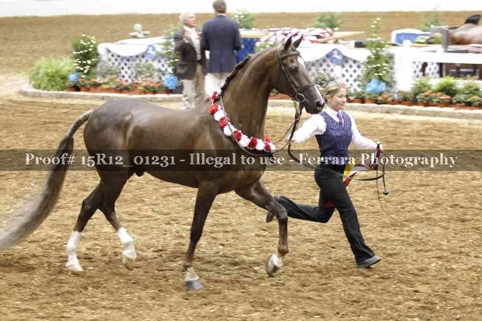 Proof 15R12_01231
