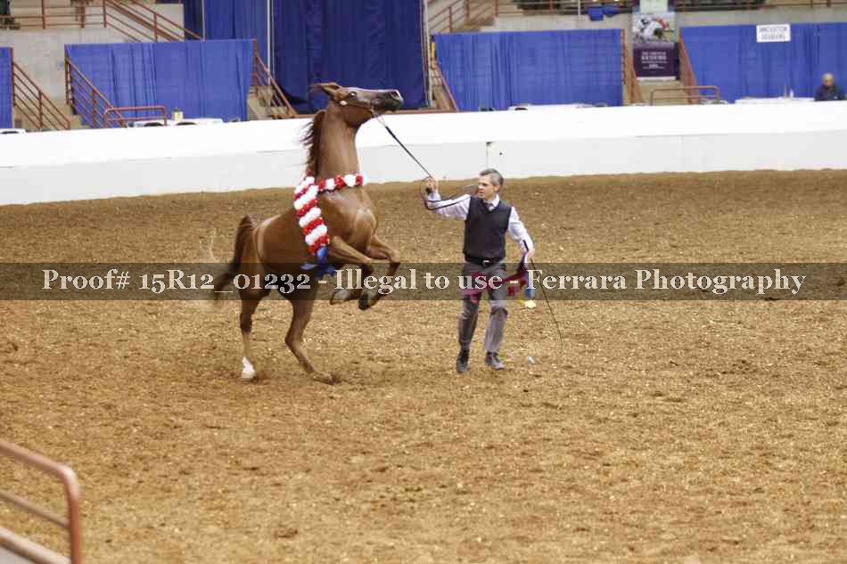 Proof 15R12_01232