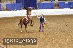 15R12_01232 proof