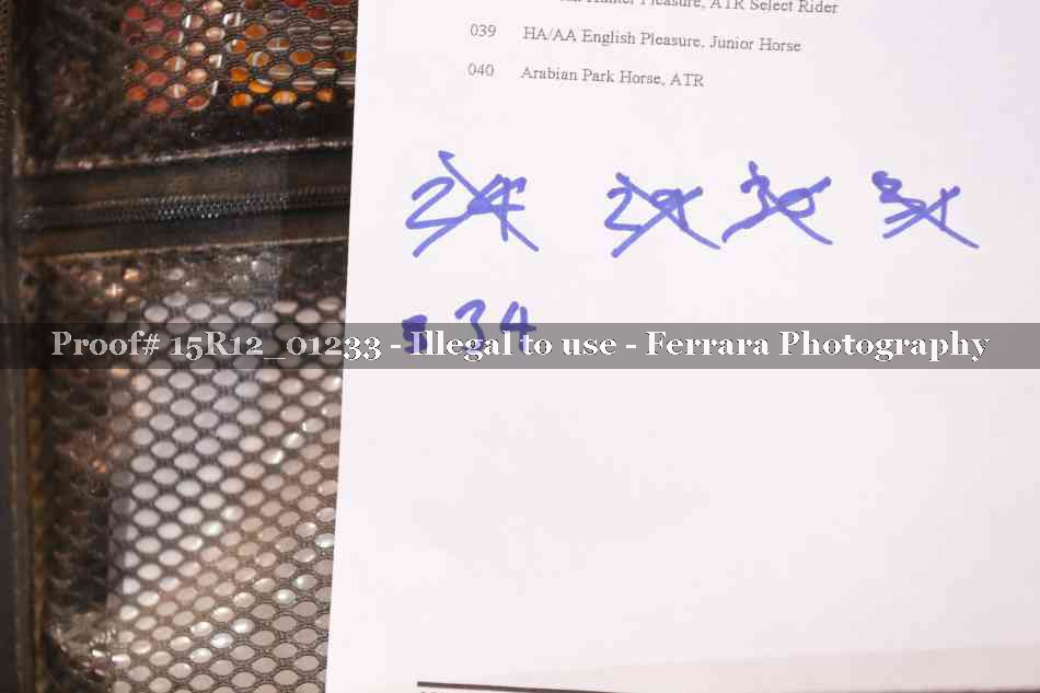 Proof 15R12_01233