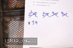 15R12_01233 proof