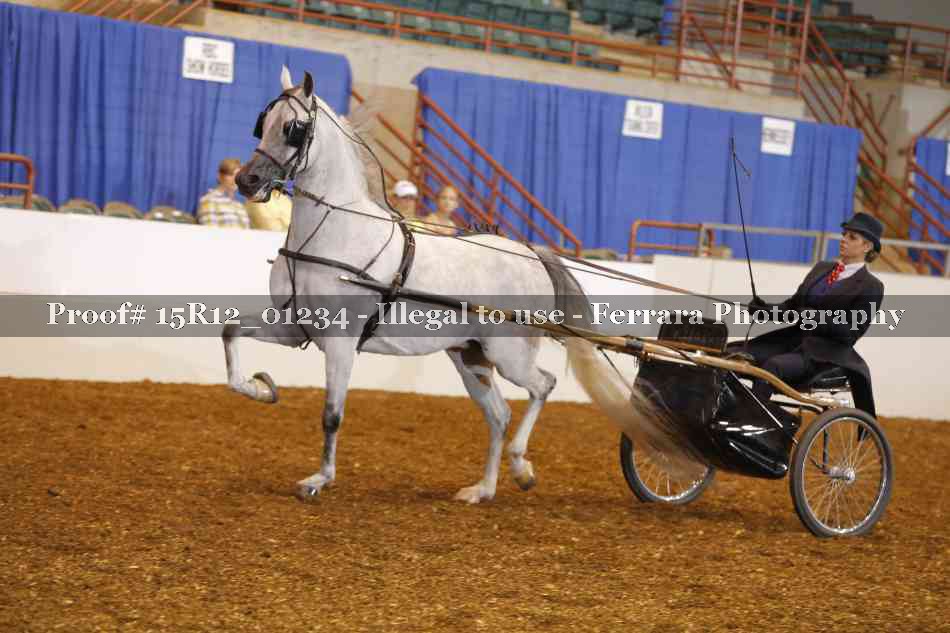 Proof 15R12_01234