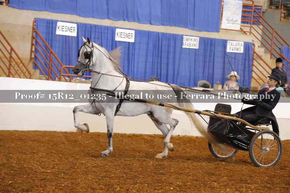 Proof 15R12_01235