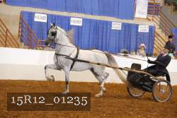 15R12_01235 proof