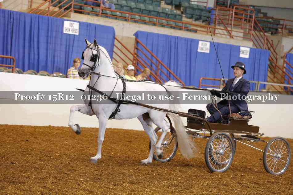 Proof 15R12_01236