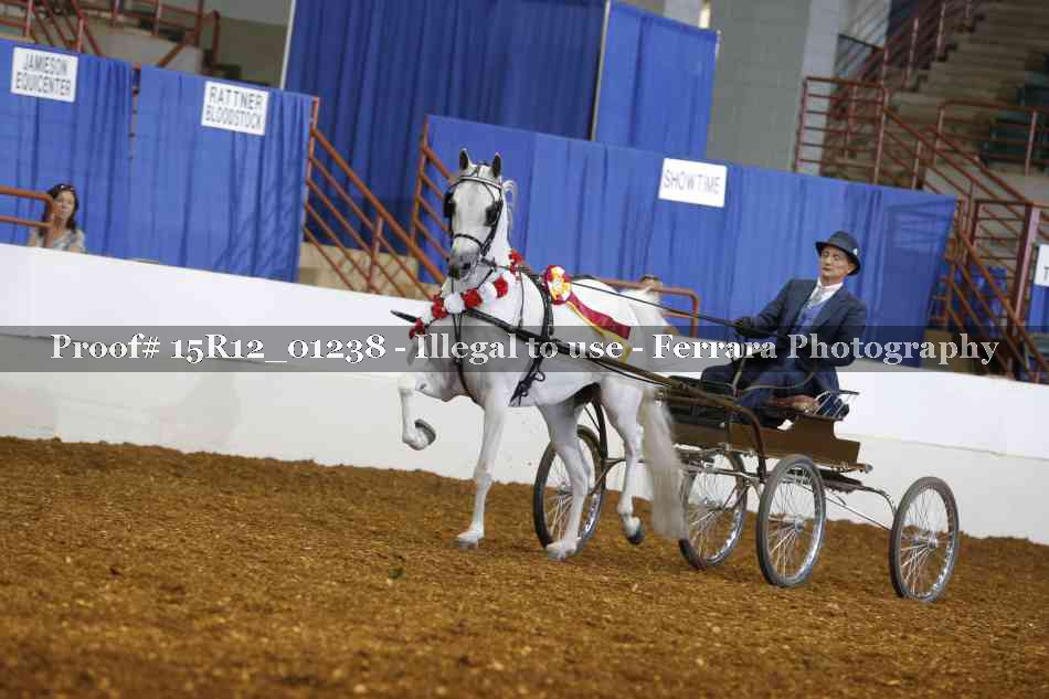 Proof 15R12_01238